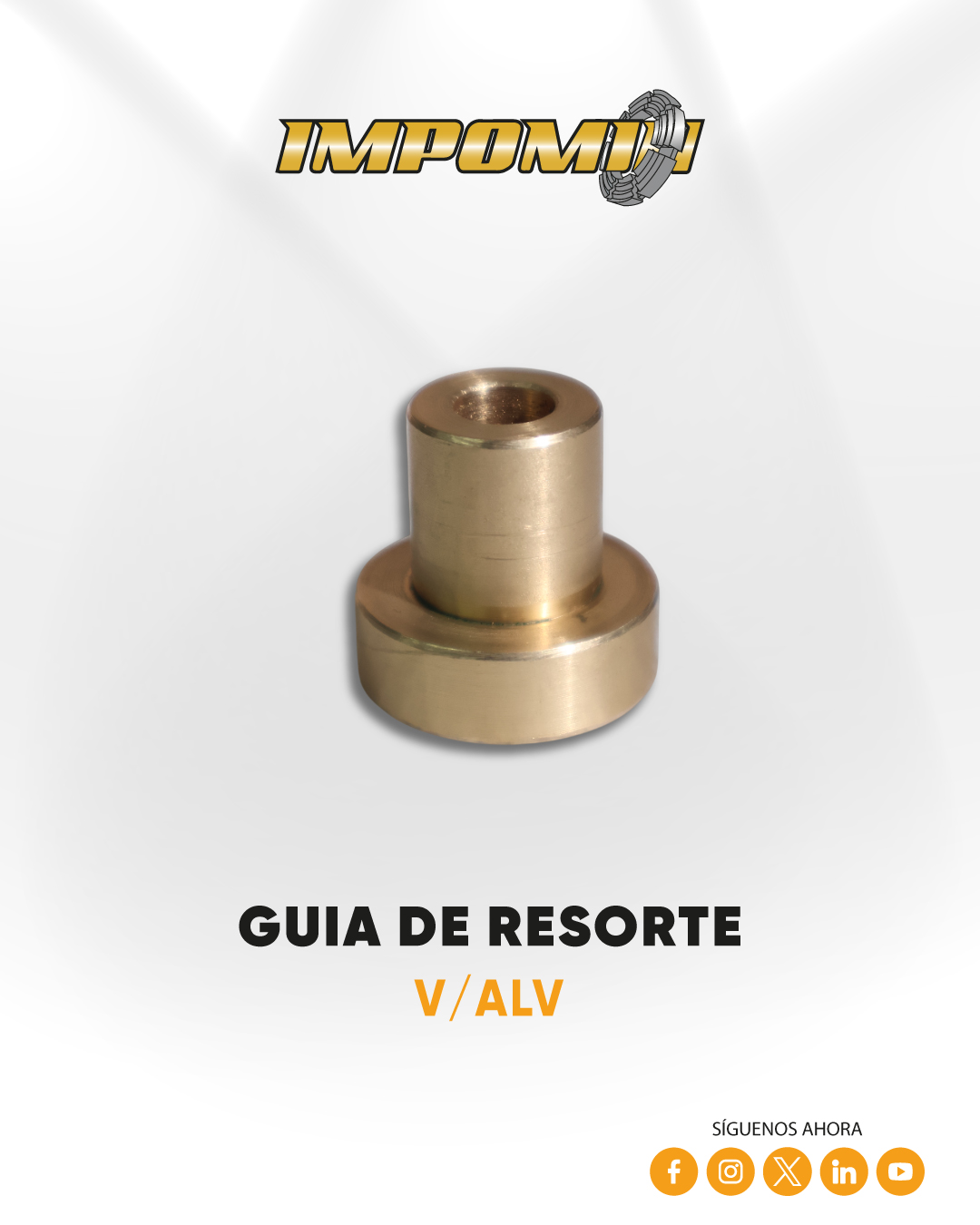 GUIA-DE-RESORTE-V-ALV — Vista 1