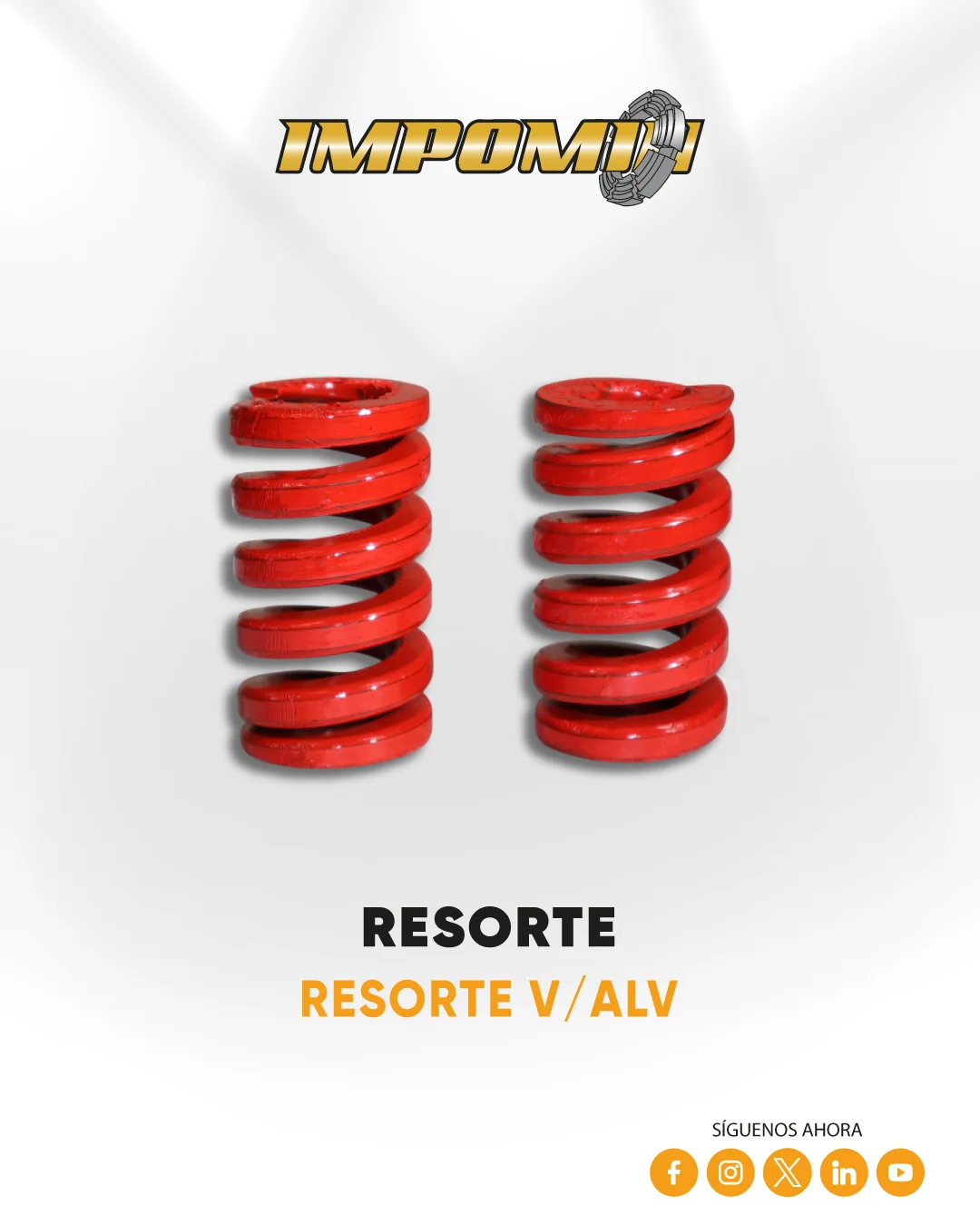 RESORTE-V-ALV — Vista 1