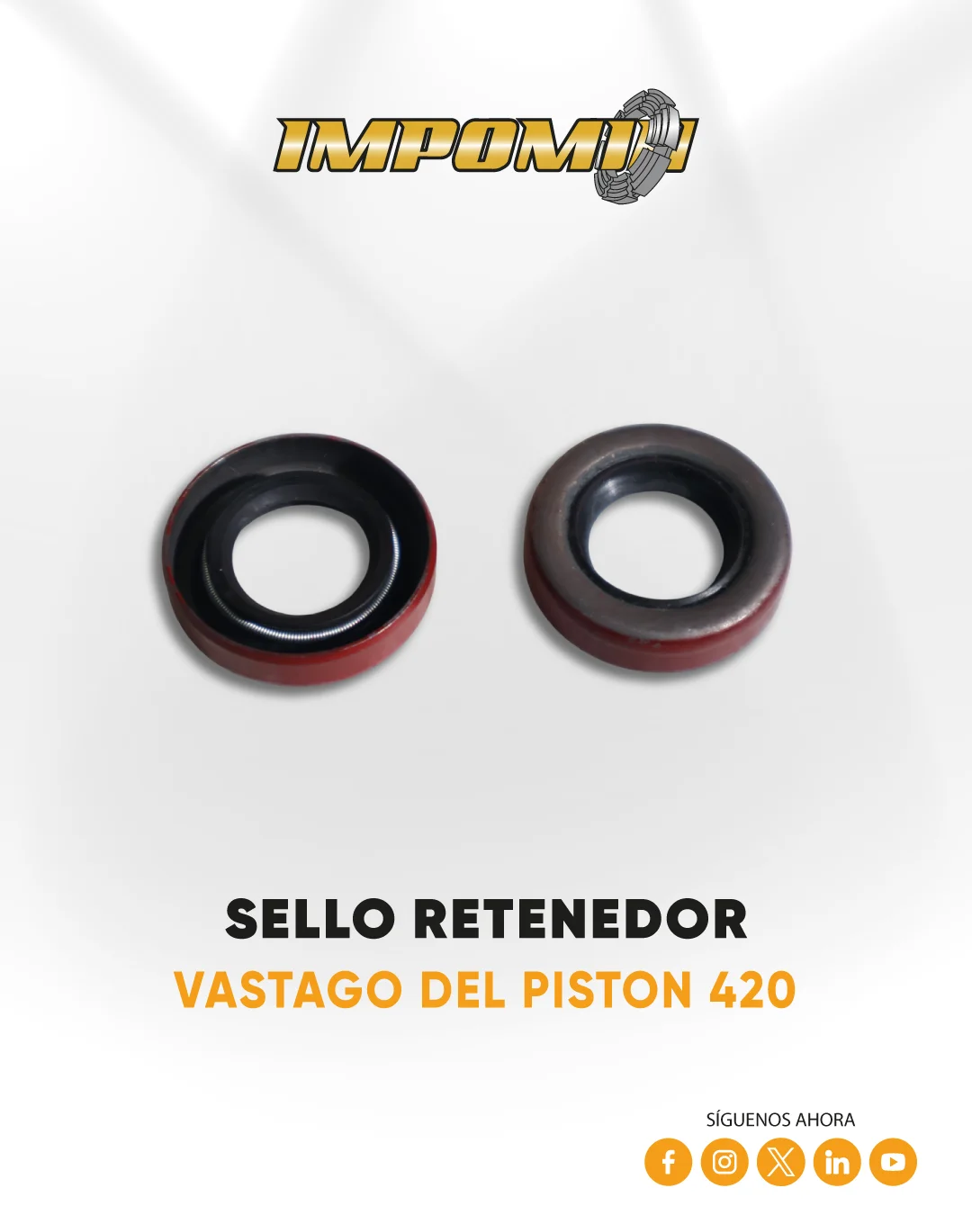 SELLO-RETENEDOR-VASTAGO-DEL-PISTON-420 — Vista 1